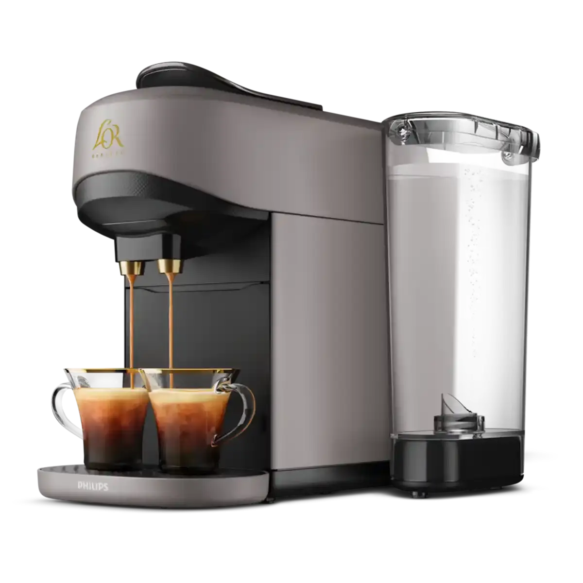 Barista Absolu