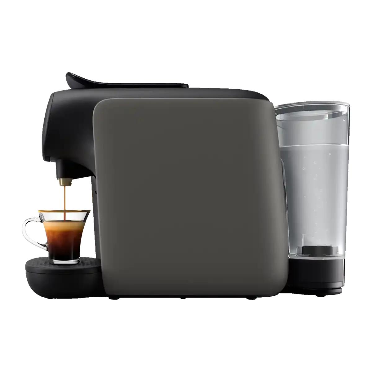 Barista Sublime